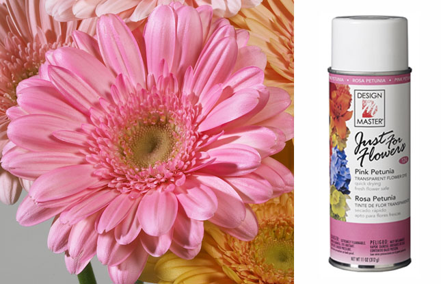 Perfect Pink Design Master Colortool Spray (780) – Americasfavors