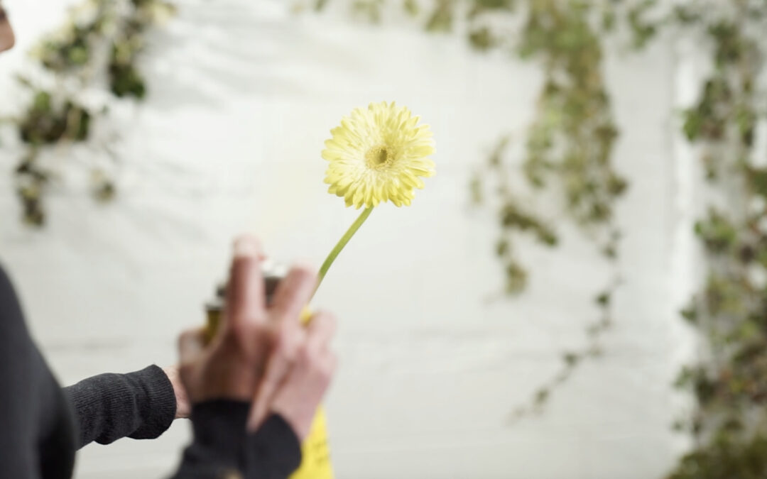 A Guide to Spray Techniques — Fresh Flowers