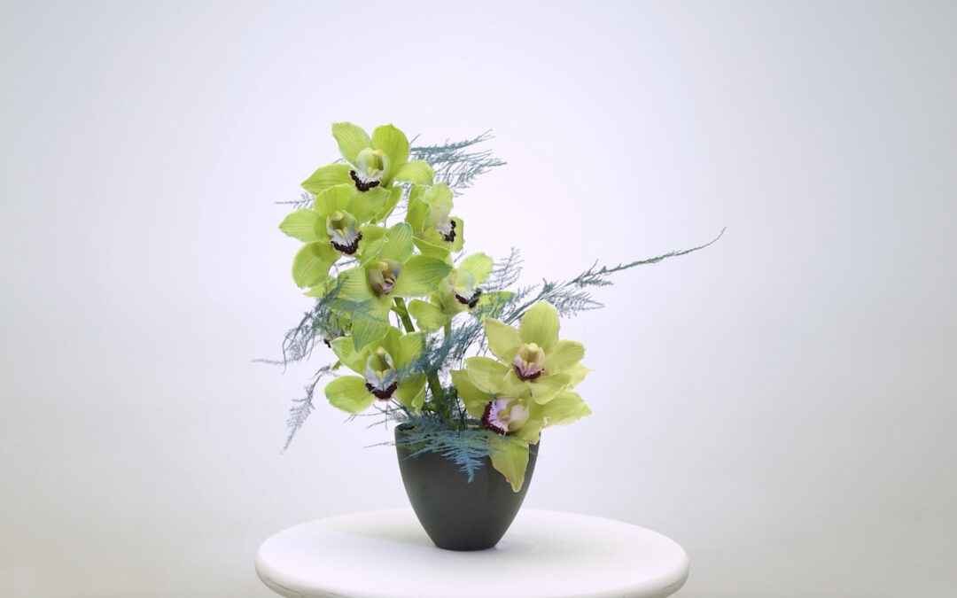 Dyeing Green Cymbidiums with Absorbit Teal Blue: Before and After