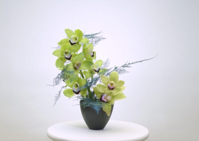 Dyeing Green Cymbidiums with Absorbit Teal Blue: Before and After