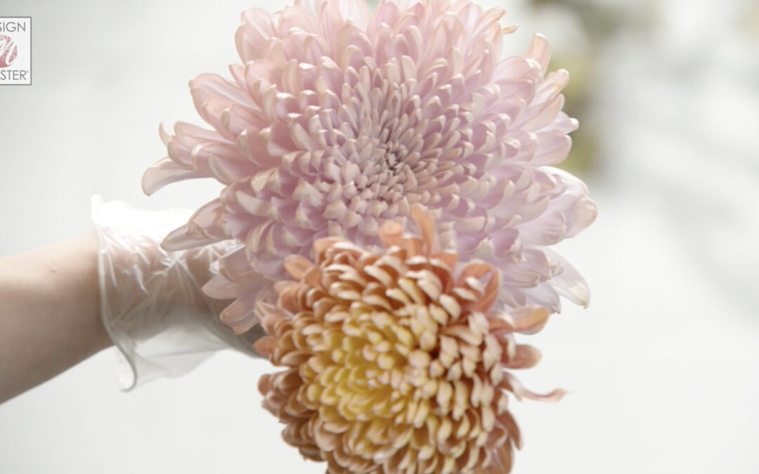 2 Ideas for Shifting Color with Blush ColorTool Spray