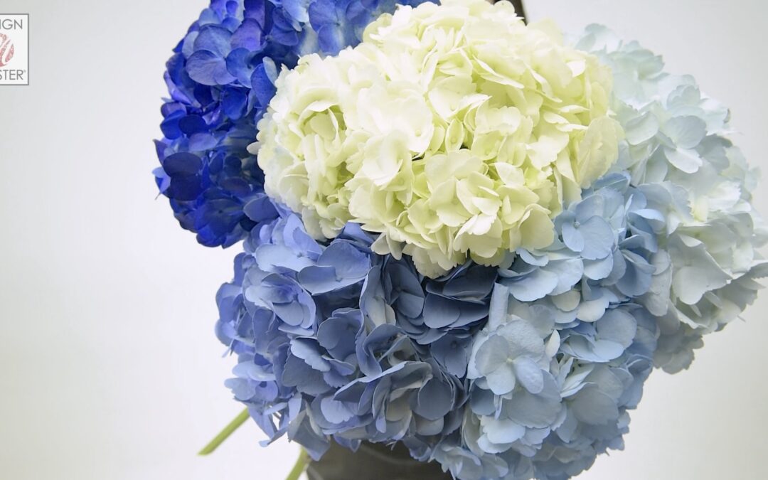 Capture Hydrangeas in Your Favorite Blue ColorTool Spray
