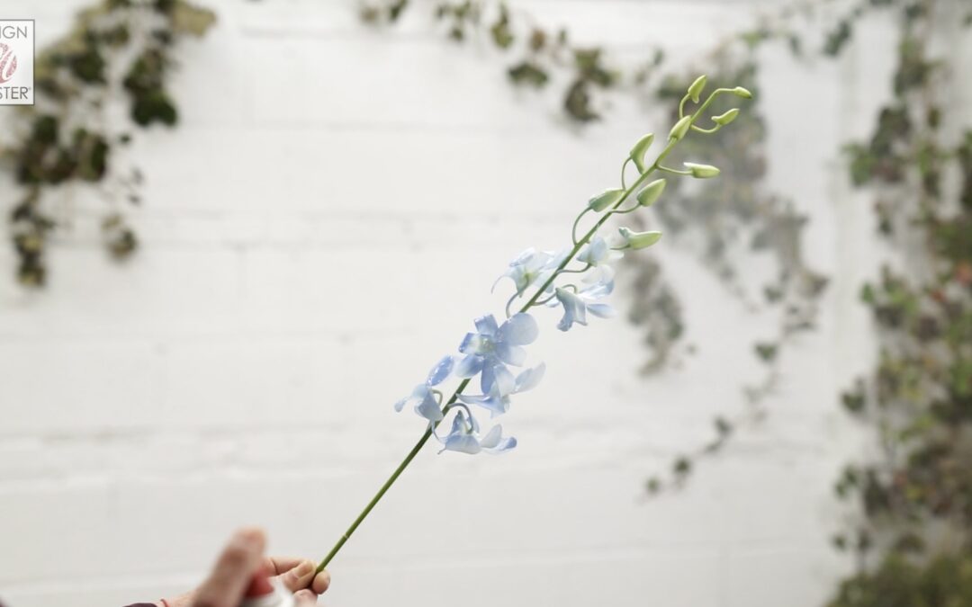 Changing White to the  Blue You Need: Before and After