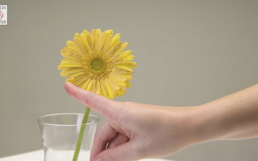 Keep a Safe Distance When Spraying Fresh Flowers