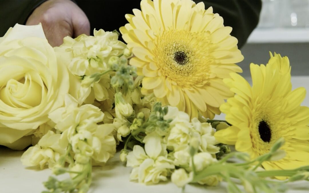 Lightening the Color of a Yellow Flower