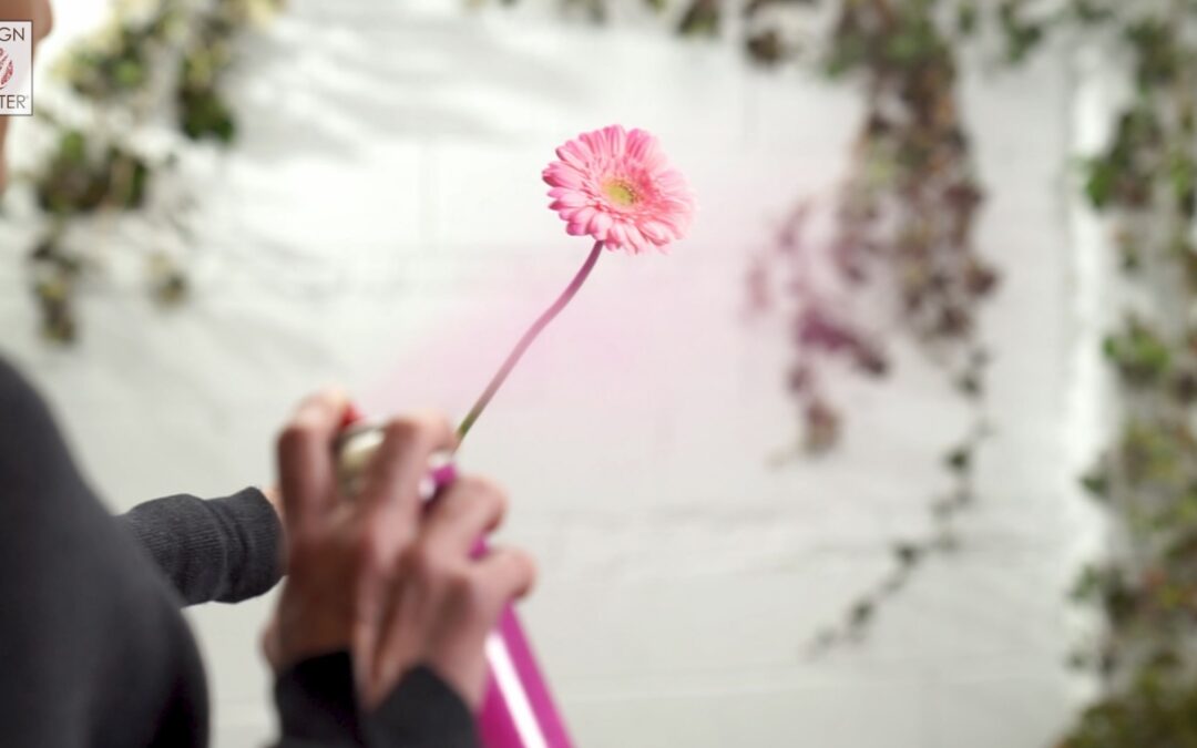 The Basics of Spraying Fresh Flowers
