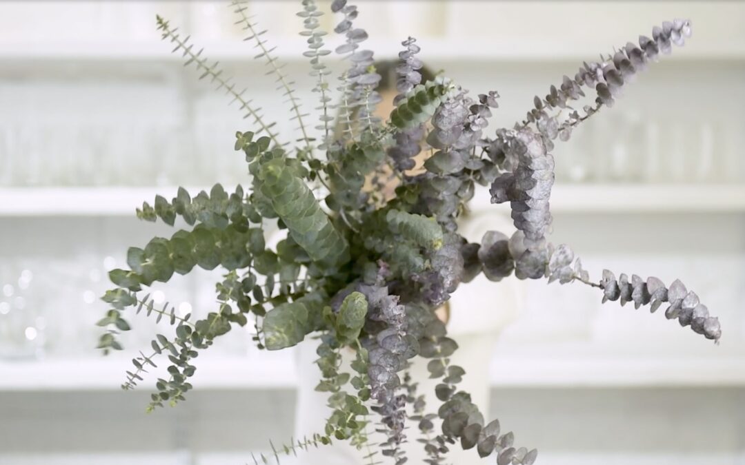 Dyeing Eucalyptus with Absorbit Hot Pink: Before and After