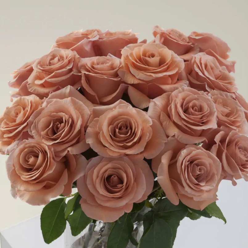 Color Trend- Marigold garden-11