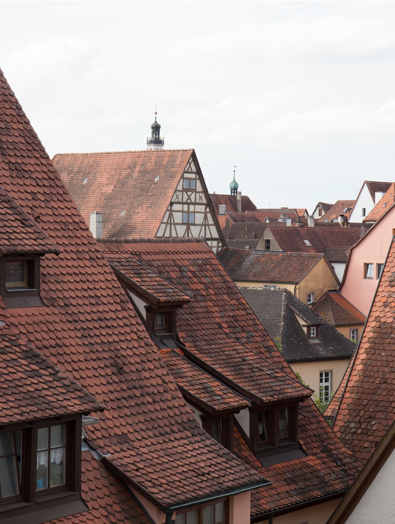 Color Trend- Marigold garden-3