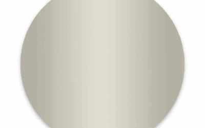 Brilliant Silver | 734