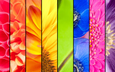 A Guide to Color Shifting