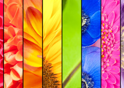 A Guide to Color Shifting