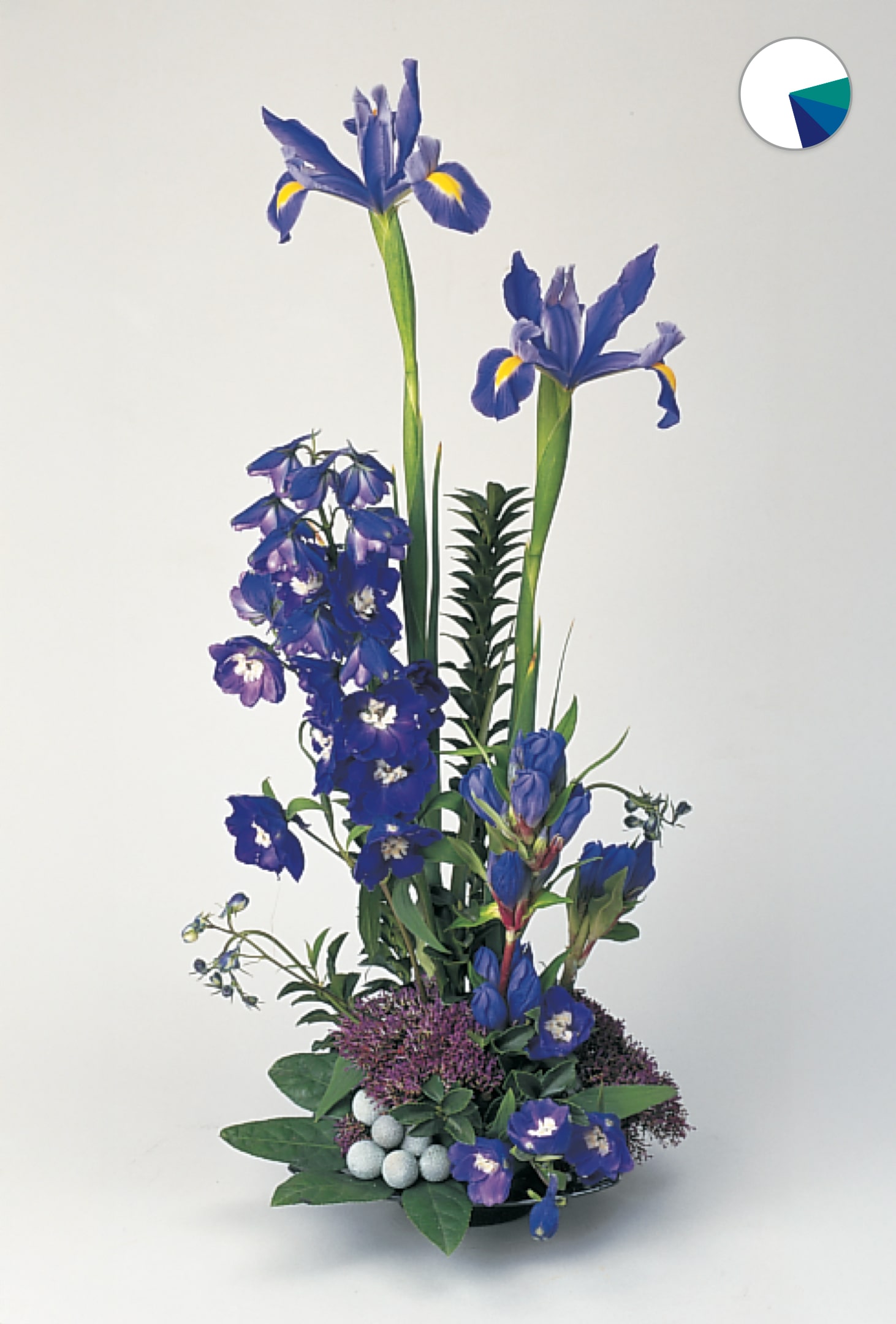 design-master-classic-color-harmonies-analogous-blue-min - Design Master®