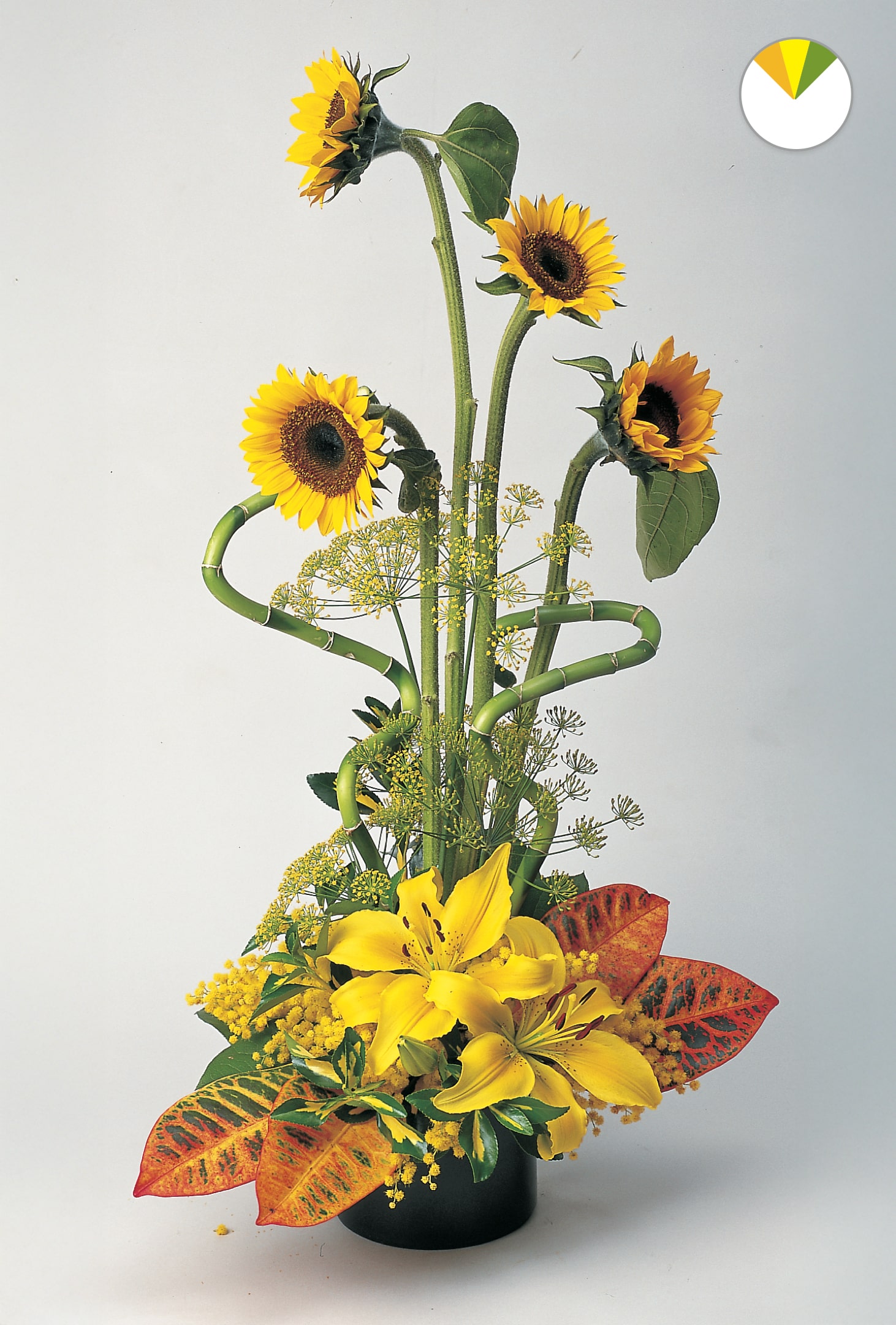 design-master-classic-color-harmonies-analogous-yellow-min - Design Master®