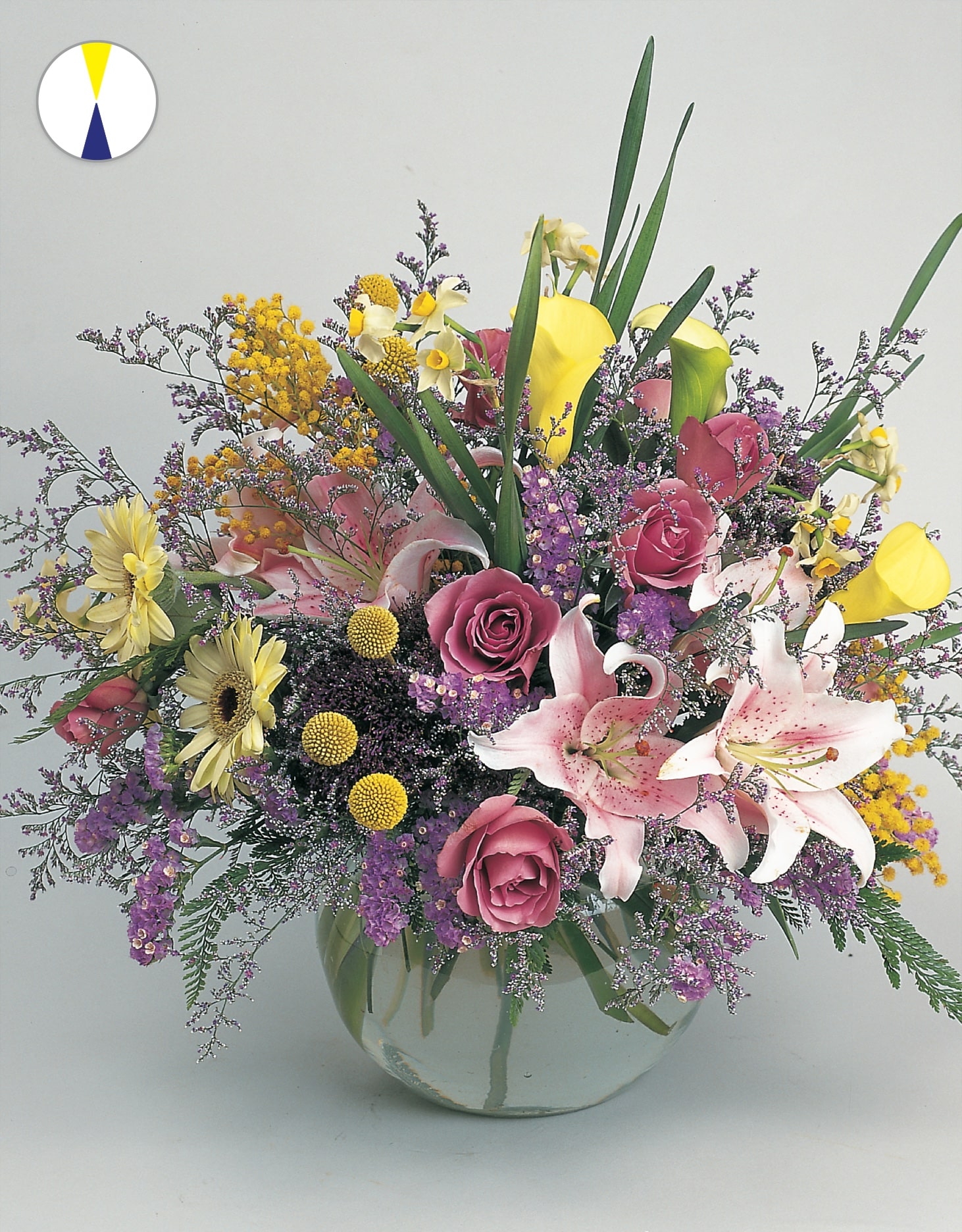 design-master-classic-color-harmonies-complementary-blue-yellow-taller-v2-min - Design Master®