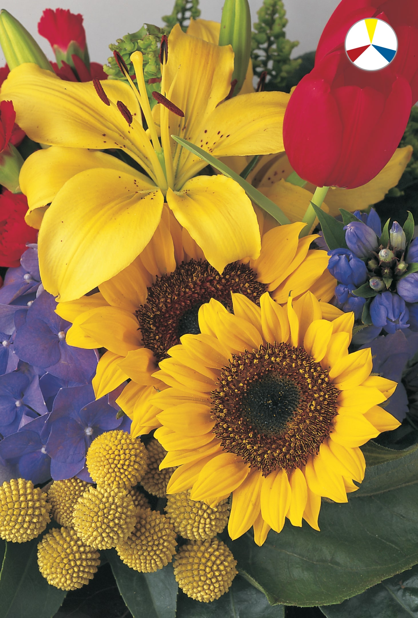 design-master-classic-color-harmonies-triad-yellow-blue-red-min - Design Master®