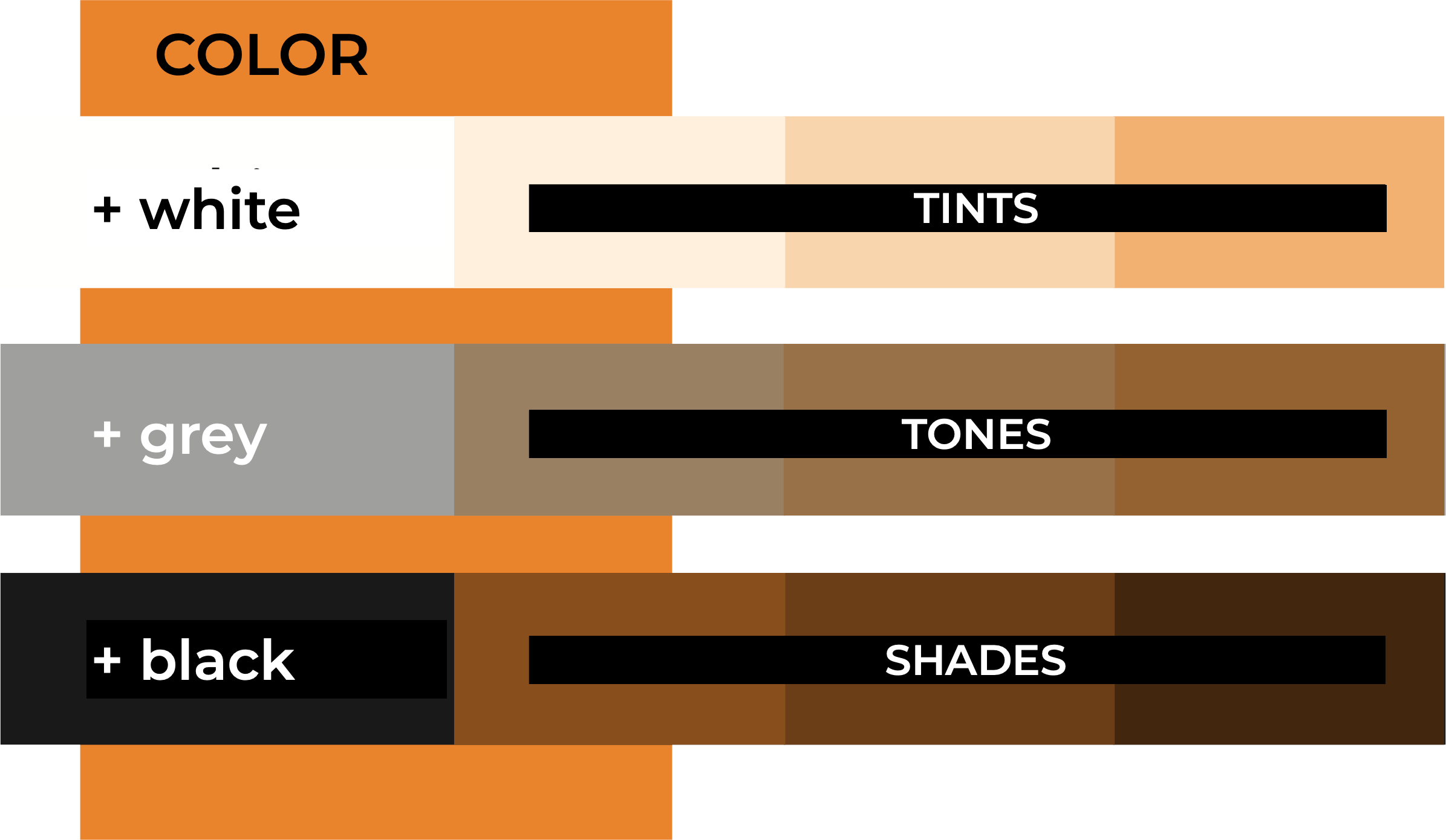 design-master-color-value-tints-tones-shades-min - Design Master®