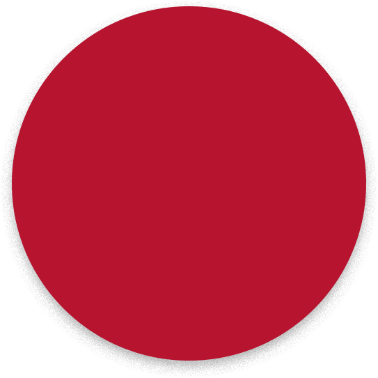 electric-punch-carnation-red-716-swatch-min