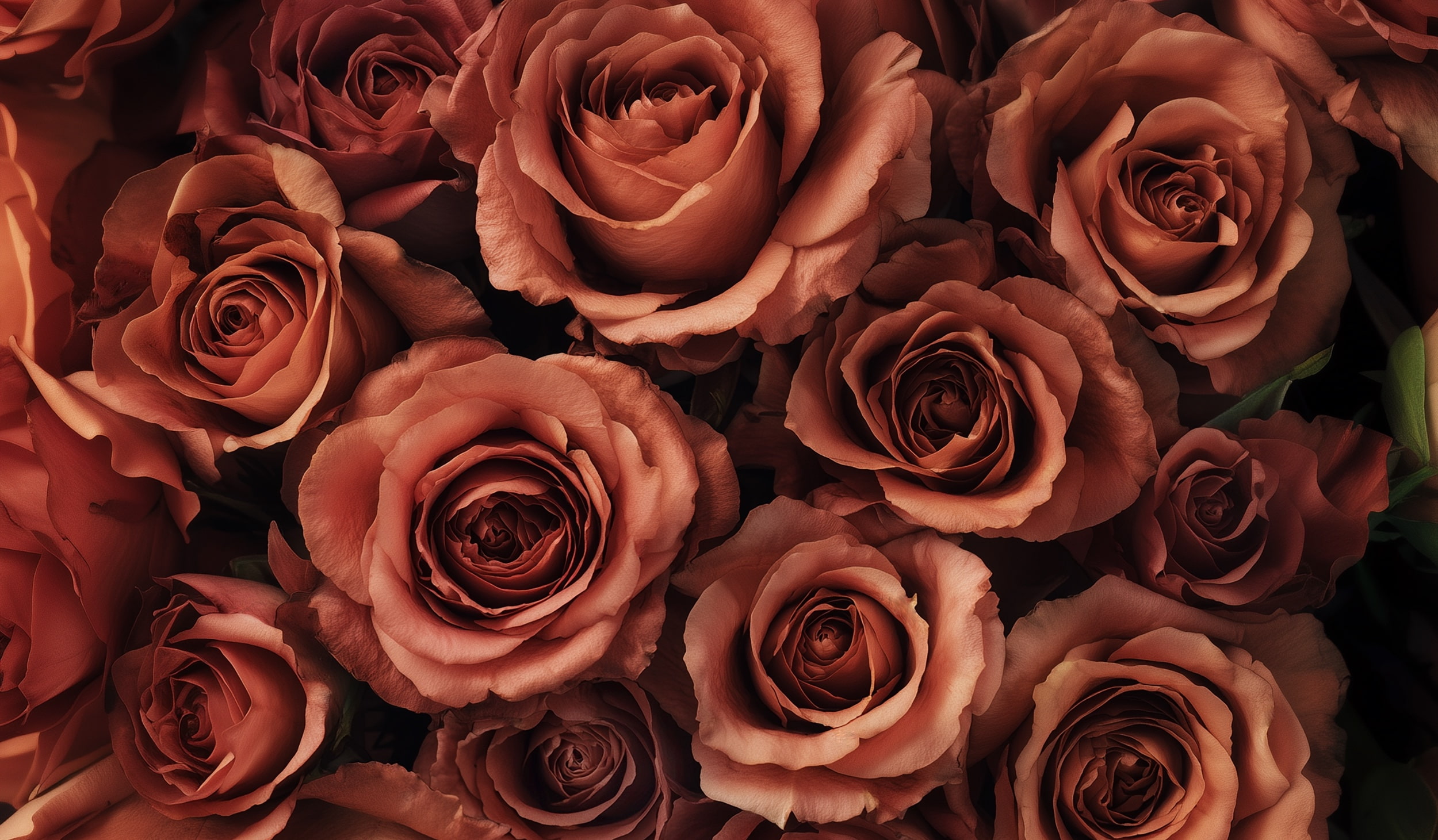 design-master-color-trends-marigold1-terracotta-roses-min